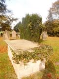 image of grave number 469839